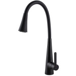 Кухонний змішувач GLOBUSLUX LAZER Pro GLPR-203SM-BB